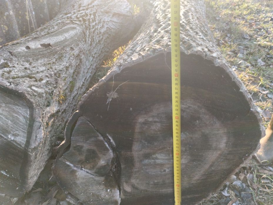 Продам стовбура горіха