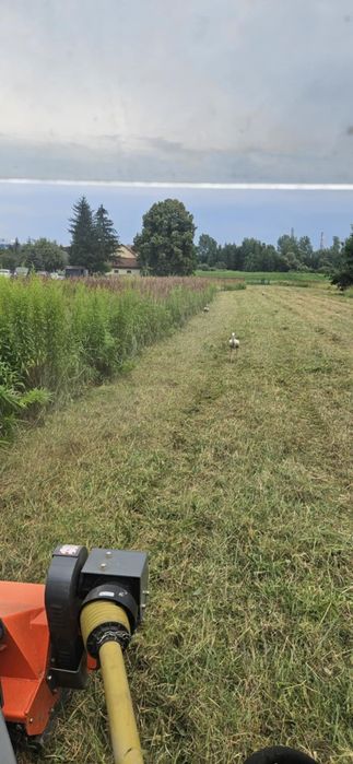 Wynajem rębak  rozdrabnacz spalinowy koszenie trawy