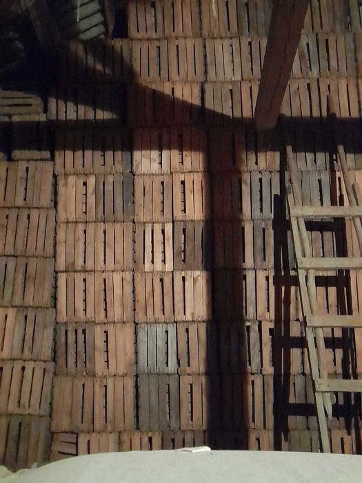 Klatki jedynki w bardzo dobrym stanie