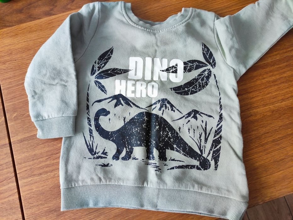 Sweterki 86r. Dino i Wild, natura