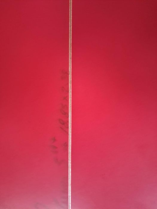 Prancha Surf optimo estado