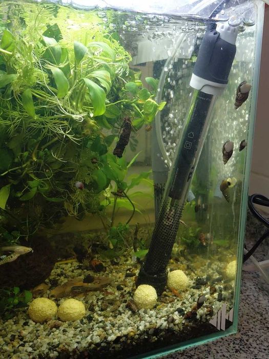 Aquario semi novo e filtro externo cascata
