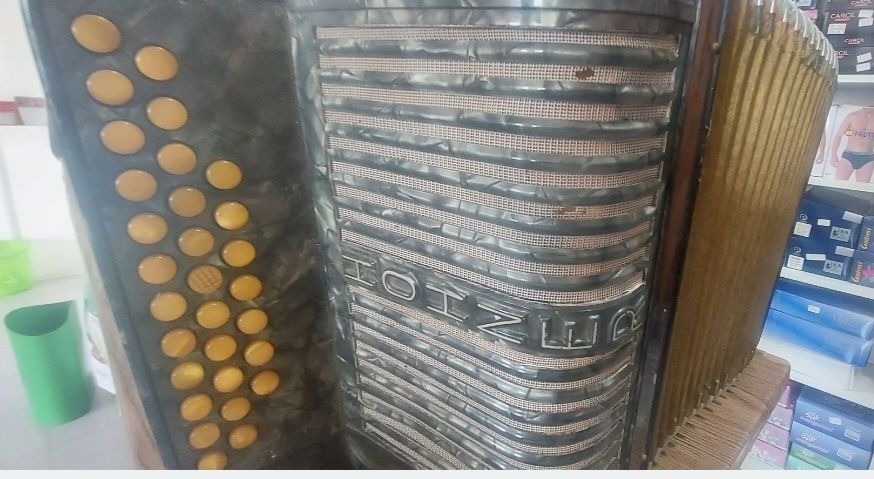 Concertina Hohner