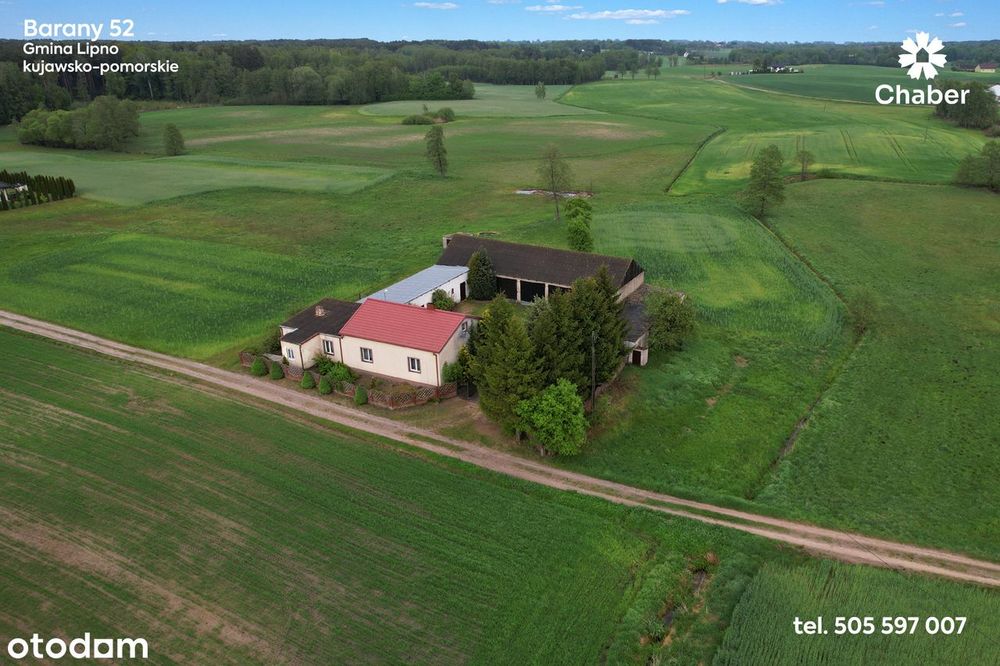 Siedlisko w sąsiedztwie lasów 17 km od Włocławka, dom 100m2