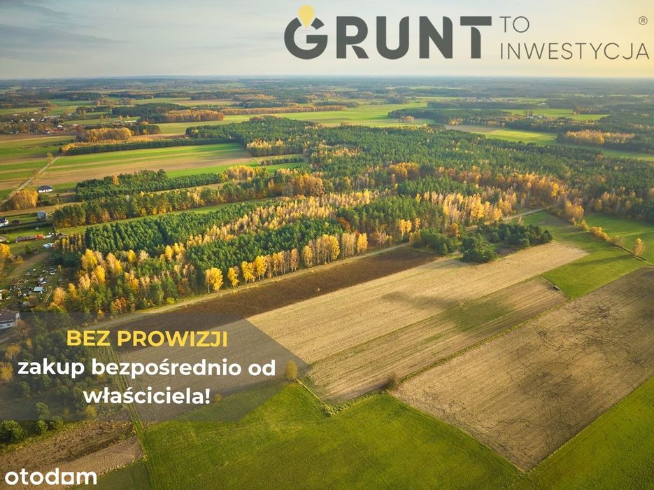 Działki w sąsiedztwie lasu