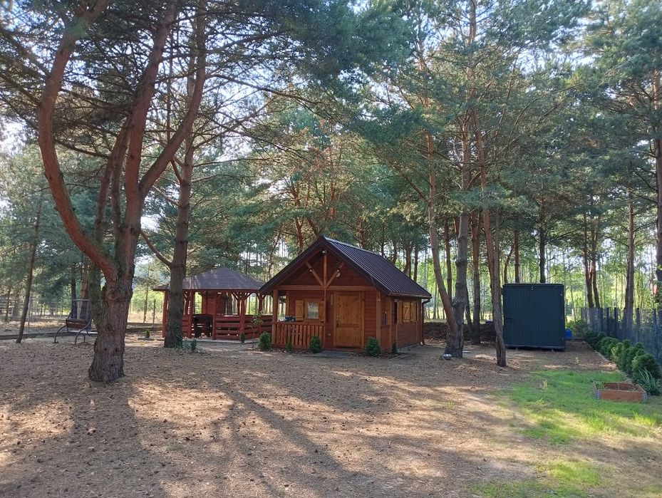 Domek letniskowy w otoczeniu lasu na działce budowlanej 1000 m² . - Widok 2