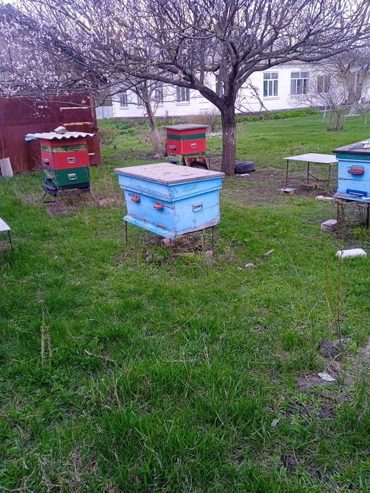Продам вулики в гарному стані