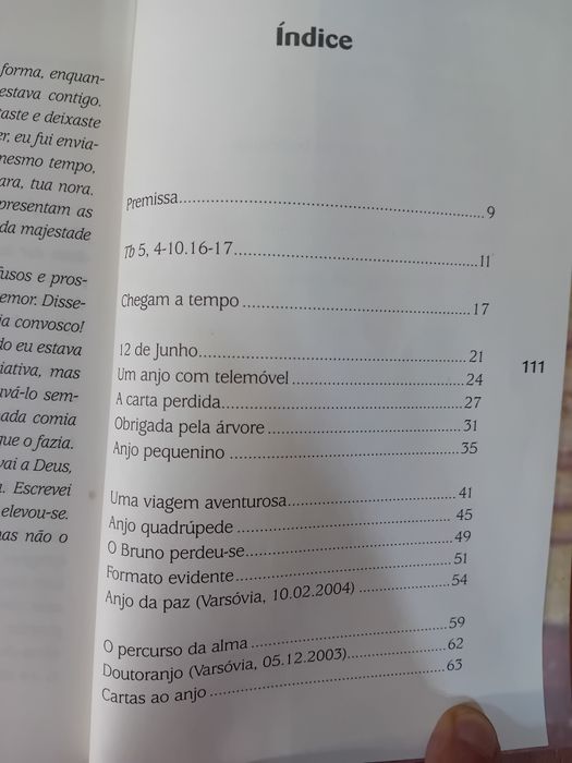 Chegam a tempo historias de anjos da guarda