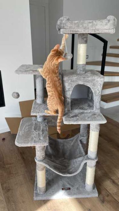 Drapak Dla Kota Wysoki XXL 6 Poziomów Domek Wysoki Stabilny