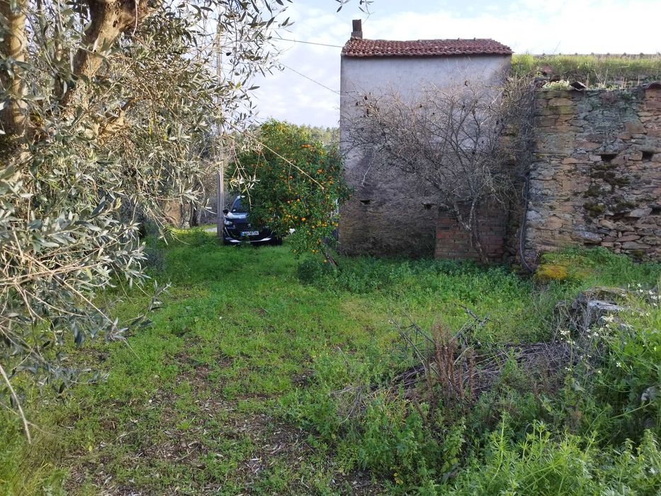 Casa antiga com terreno