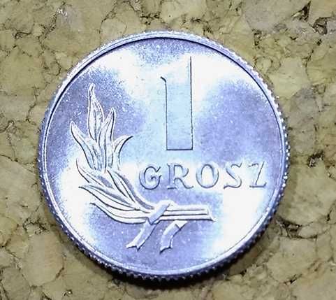 1 GROSZ 1949r. stara moneta PRL