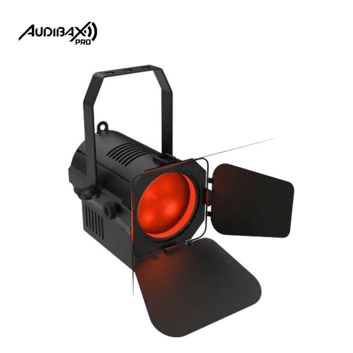 Audibax Pro Madison 40FC 40W RGBW 4 em 1 LED