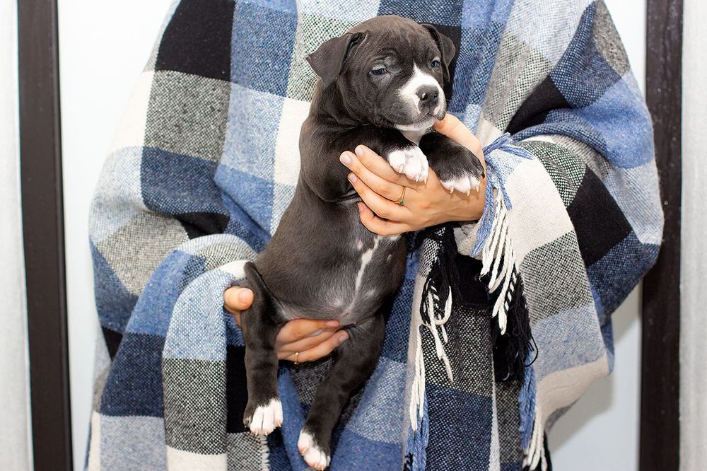 Брат та сестра клубних АСТ