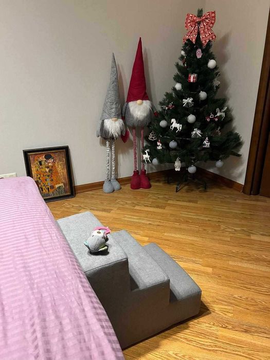 Сходинки приліжкові для тварин