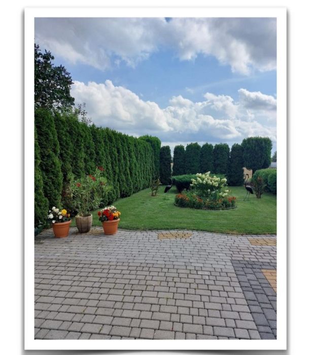 Apartament u Gieni na wynajem