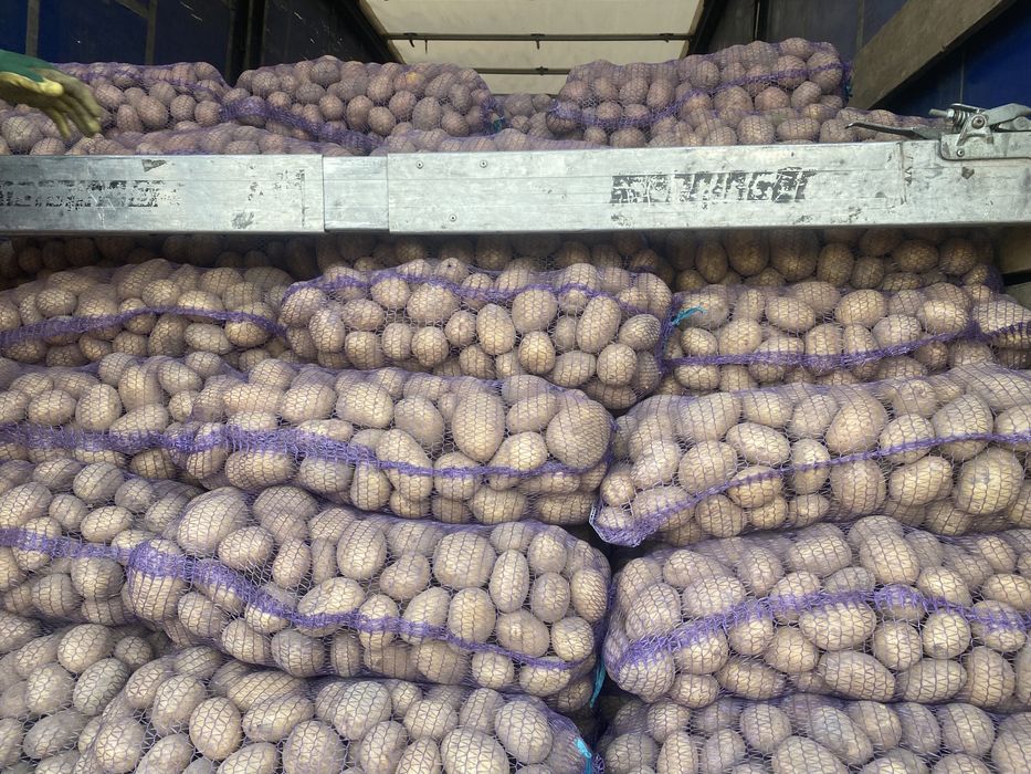 Продам картоплю та моркуву