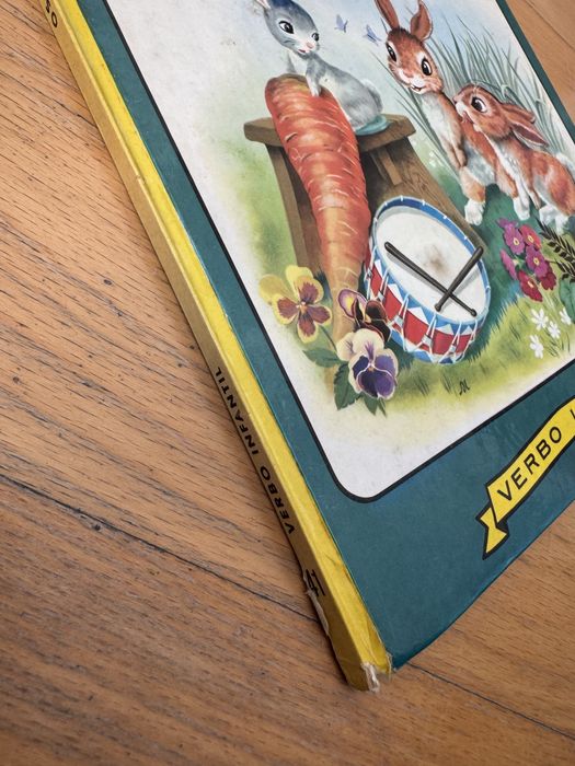 Os dois Coelhos Gémeos - (Nº 41) - Anita