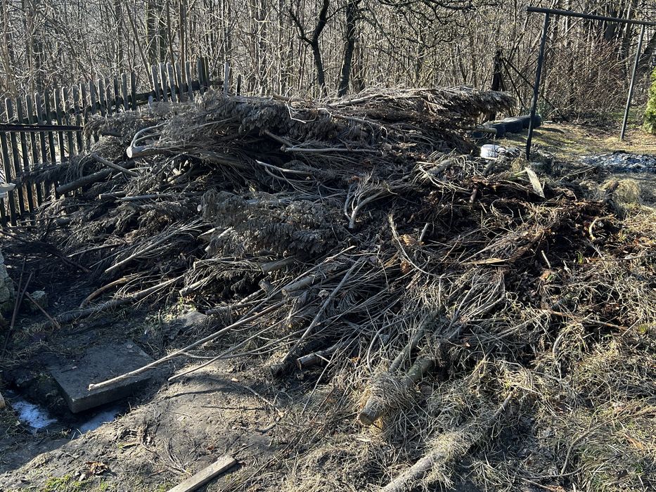Drzewo opałowe (gałęzie) aktualne tylko do końca miesiąca!