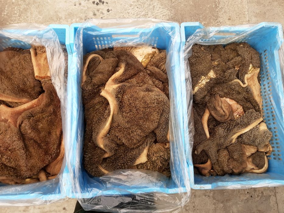 желудок рубец говяжий