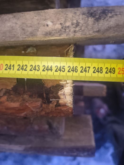 Stemple budowlane drewniane - 2.46cm