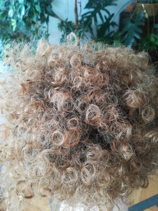 peruka naturalna z włosów ludzkich