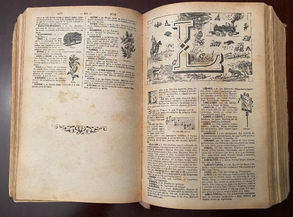 Dicionário Prático Ilustrado Lello & Irmão, Lda. 1928 2ª edição