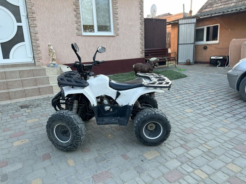 Квадроцикл     125