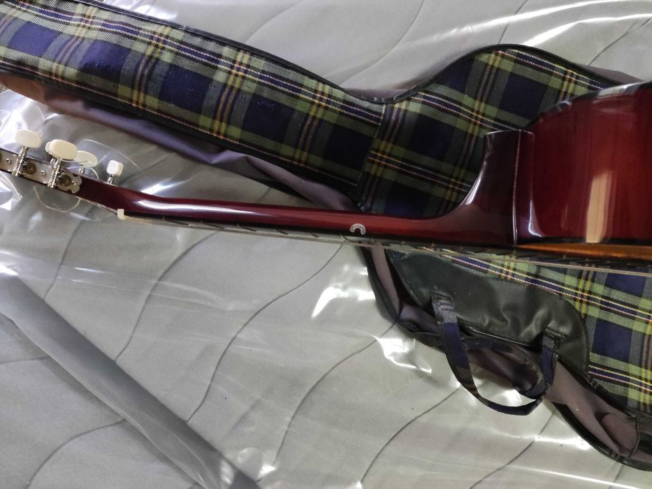 Viola castanha com capa