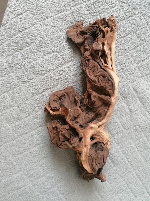 Korzeń do akwarium.