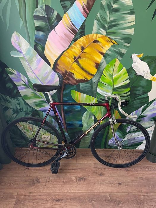 Продам карбоновий велосипед Specialized Epic carbon 1994 Single Speed Fixed