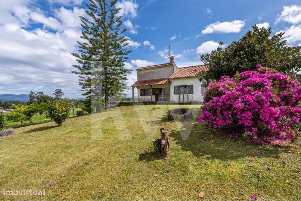 Quinta Torre de Penafiel, com 17 hectares e parecer favorável para emp