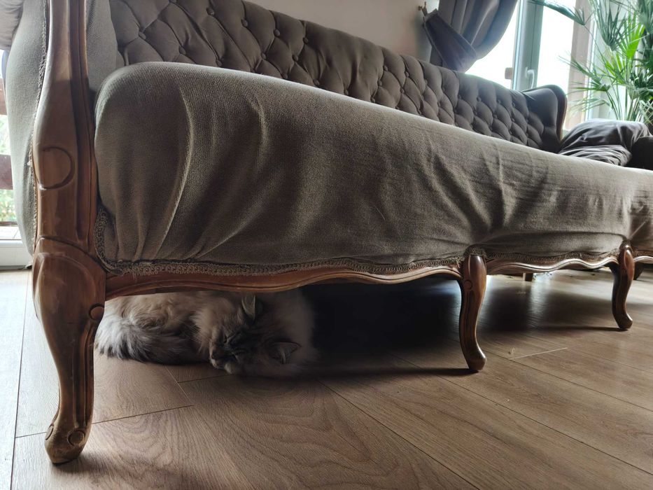 Sofa "Ludwik Filip", na giętych nogach, do renowacji