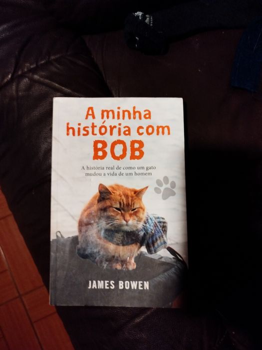 A minha história com bob