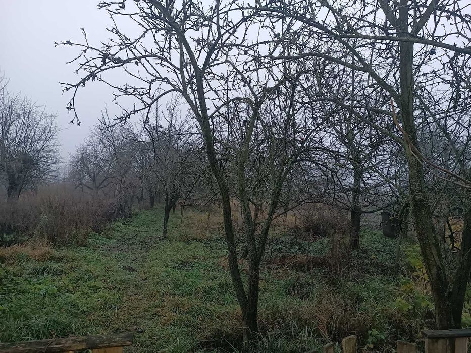 Продаж чистої та охайної частини будинку