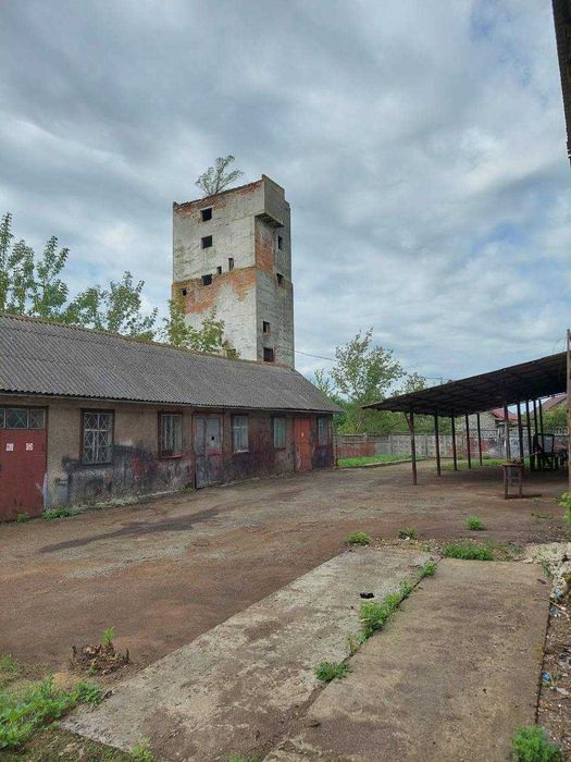 Продаж виробничого приміщення в центрі м.Тлумач