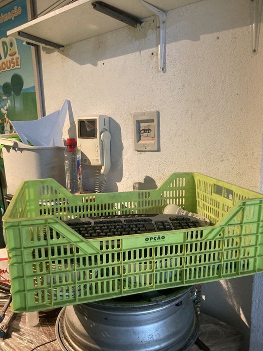 Cesto verde plástico para roupa ou fruta