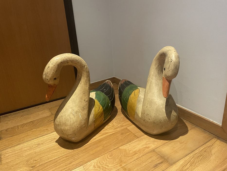Cisnes decorativos