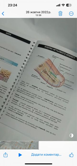 Методичка, посібник, для майстра манікюра, навчання