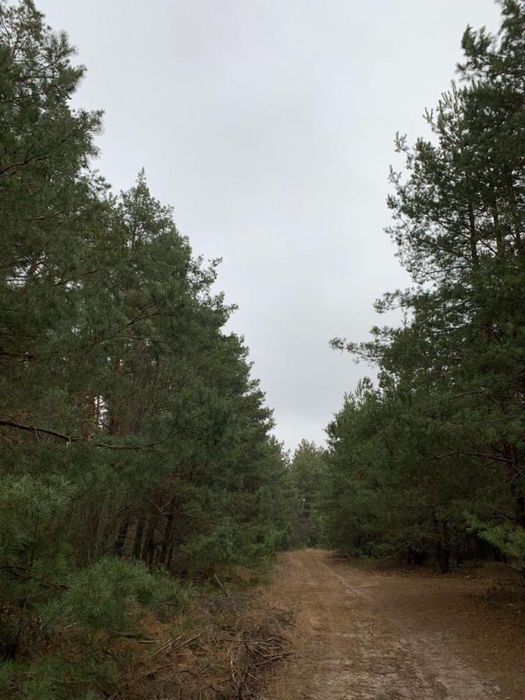 20 ГА, під житлову забудову, 35 км по Київ-Одеса