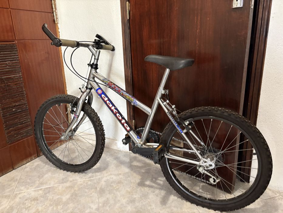 Bicicleta rapaz 20”