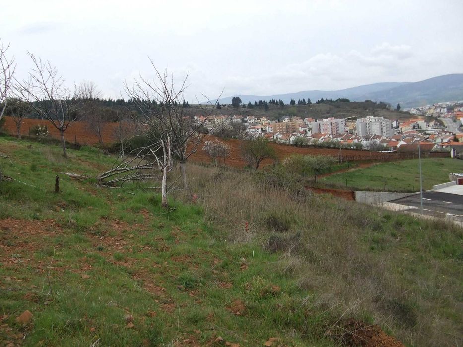 Terreno em Bragança, no S.Bartolomeu