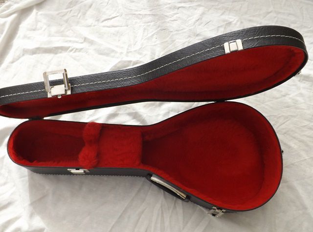 Portuguese Bandolim Case64409125837699122