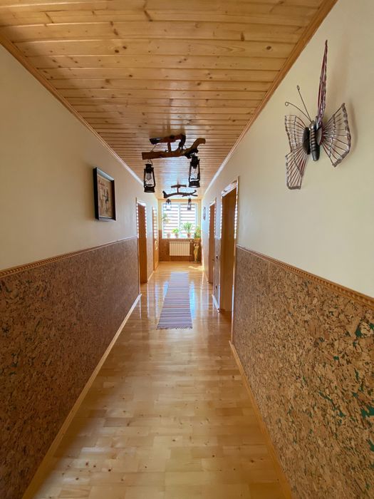 Велятино. Термальні води. Оренда житла.