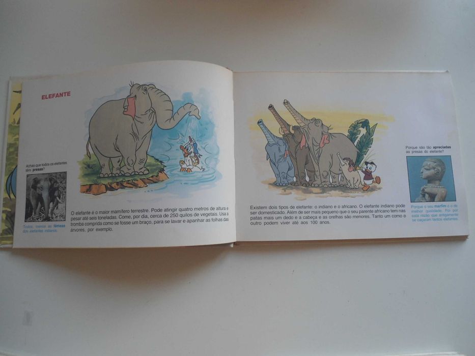 É Divertido Conhecer com Walt Disney (15 volumes)
