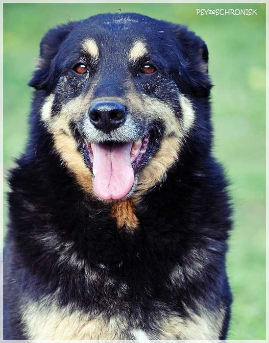 Borys – nie dla niego luksusy, wystarczy kochający opiekun