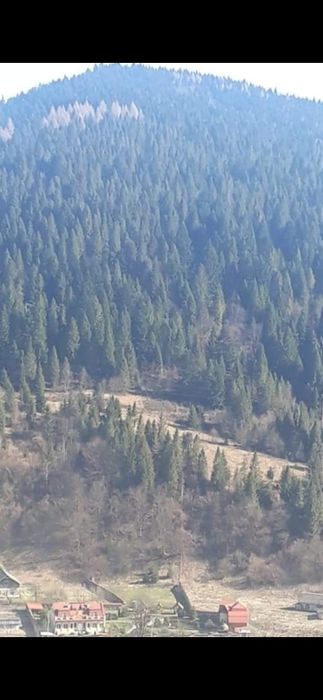 Здається в оренду Садиба під Дім Пристарілих або Реабілітаційний центр