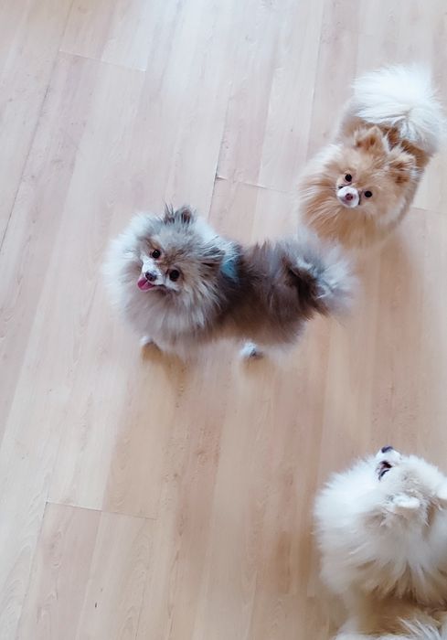 Подарунок для родини