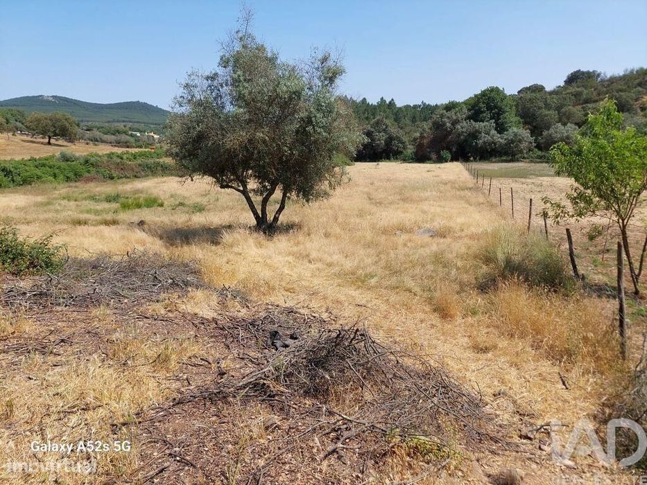 Prédio em Alegrete de 115,00 m2