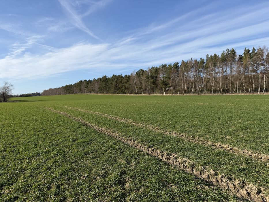 Działka rolna z potencjałem budowlanym - Widok 2