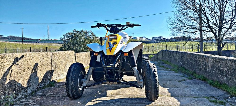 Vendo Polaris  trail blazer 250